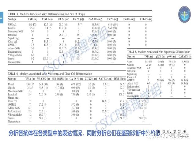 黄文亭 张询：宫颈腺癌分类介绍