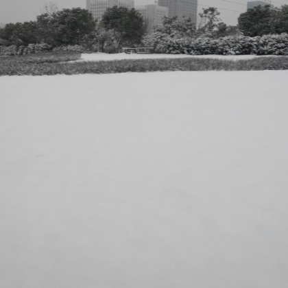每年的第一场雪