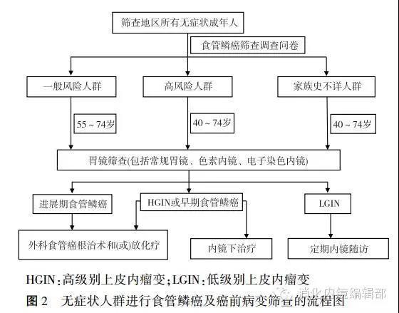 中国早期食管鳞状细胞癌及癌前病变筛查 与诊治共识（2015年，北京）
