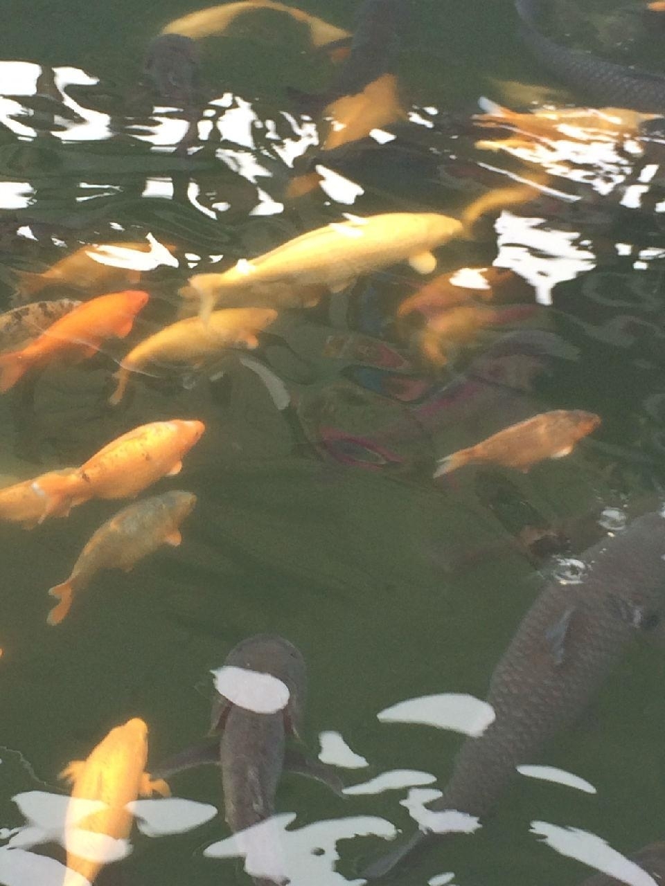 来几张照片瞅瞅