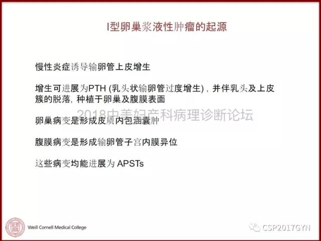 非粘液性卵巢肿瘤的诊断挑战