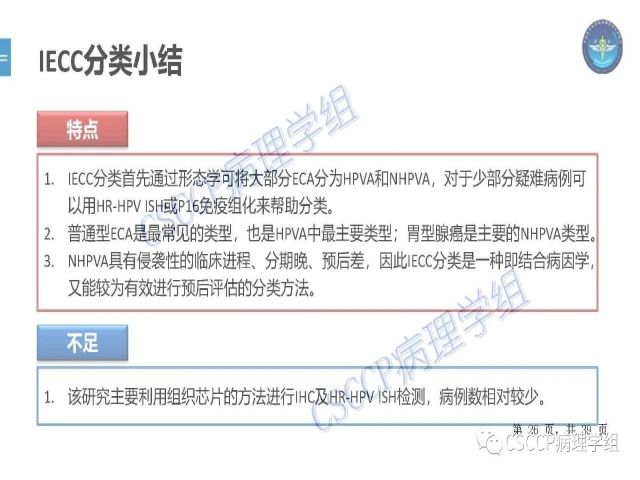 黄文亭 张询：宫颈腺癌分类介绍