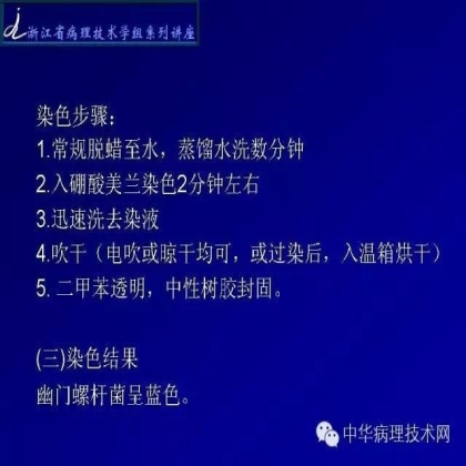 特殊染色 - HP染色