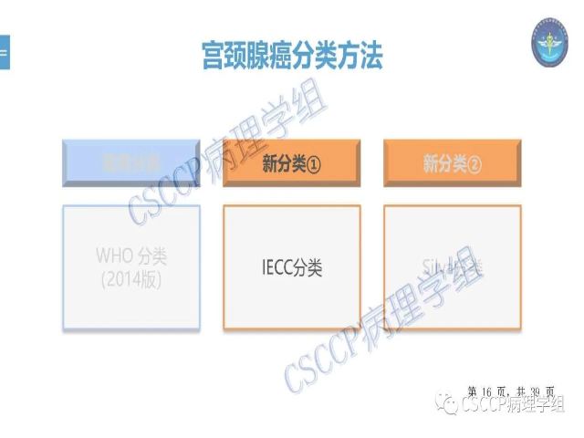 黄文亭 张询：宫颈腺癌分类介绍