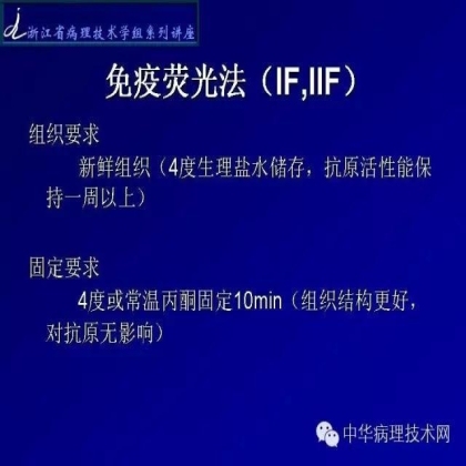 探讨免疫组织学在肾穿标本中的应用
