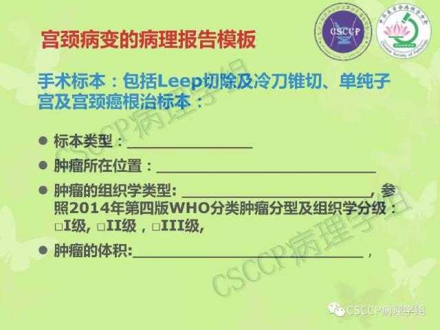 宫颈与子宫病变病理标本取材