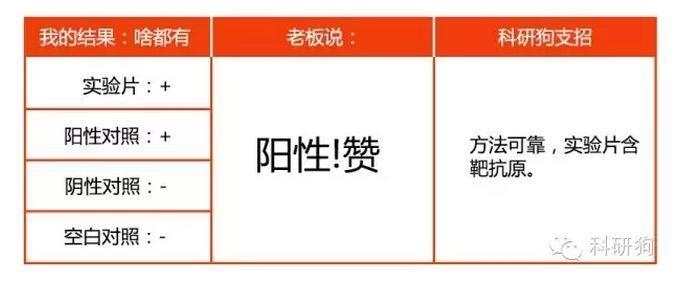 那些年做过的免疫组化
