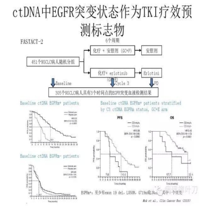 肿瘤精确医疗与分子病理检测