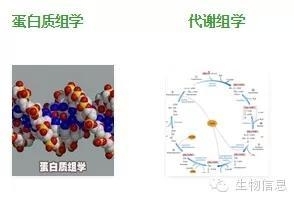 NGS数据处理流程