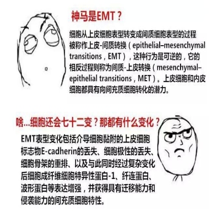 通路 | TGF-β：诱导EMT最重要的因子