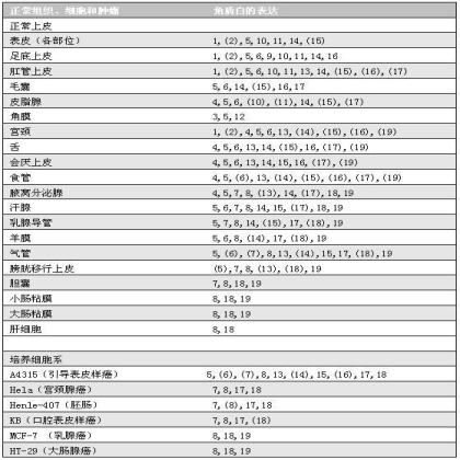 角蛋白在正常组织、细胞和肿瘤中的表达