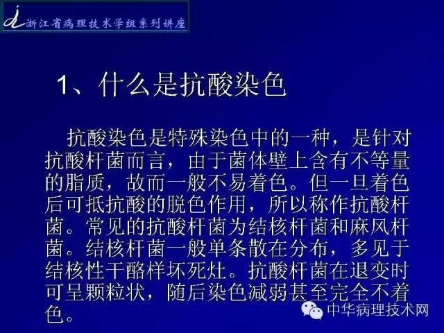 特殊染色-抗酸染色
