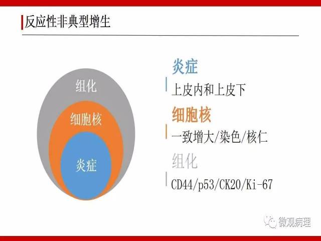 膀胱尿路上皮肿瘤诊断的一些困惑
