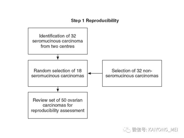 卵巢癌的病理诊断新进展（四）