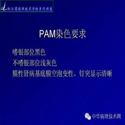 肾穿活检组织特殊染色方法