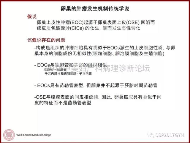 非粘液性卵巢肿瘤的诊断挑战