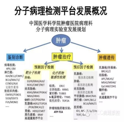 PQCC示范实验室展示——中国医学科学院肿瘤医院
