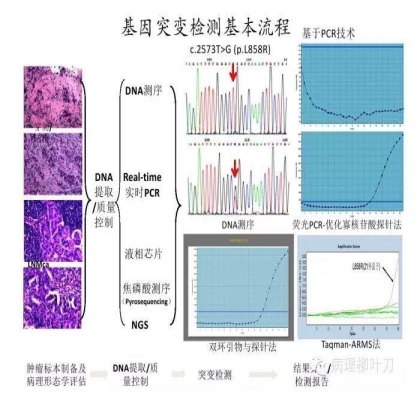 肿瘤精确医疗与分子病理检测