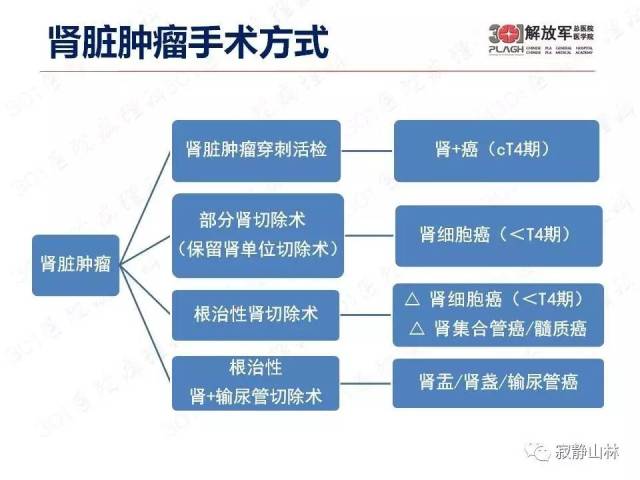 泌尿系统常见肿瘤标本病理报告规范