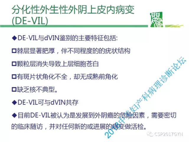 非HPV相关的外阴鳞状细胞肿瘤