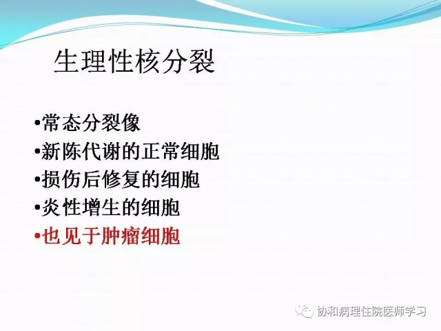 病理学基础知识 : 核分裂像的识别