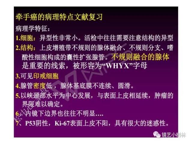 上消化道早癌病理的学习心得体会（附胃牵手癌的病例特点文献学习）