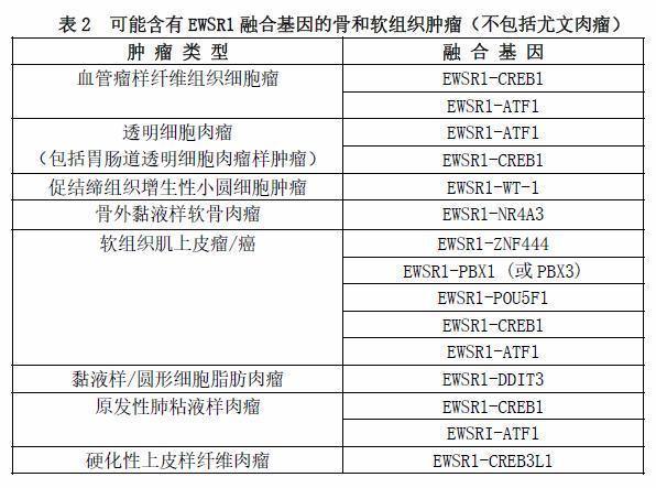 尤文肉瘤及其类似且可能相关的小圆细胞肿瘤的发展史：我们从何方来，要到何方去？