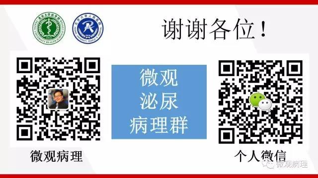 泌尿课程/尿路上皮病变的基本生长方式