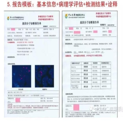 PQCC示范实验室展示——中山大学肿瘤防治中心分子诊断科