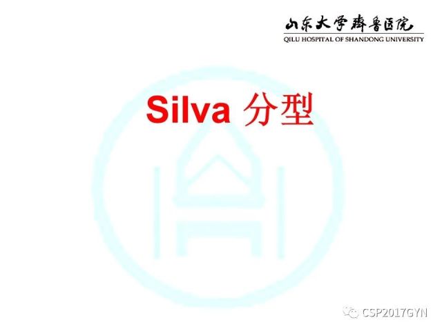 中华病理学会基层培训遵义站讲座（四）——宫颈腺癌的诊断及新分型