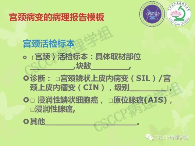 宫颈与子宫病变病理标本取材
