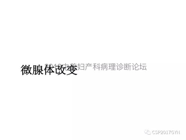 子宫内膜假肿瘤性病变及类似癌样病变