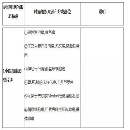 肿瘤病理学分类大全