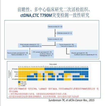 第13届中国肺癌高峰论坛