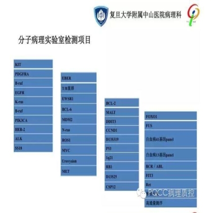 PQCC示范实验室展示——复旦大学附属中山医院病理科