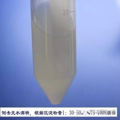 免疫组化液态阳性对照