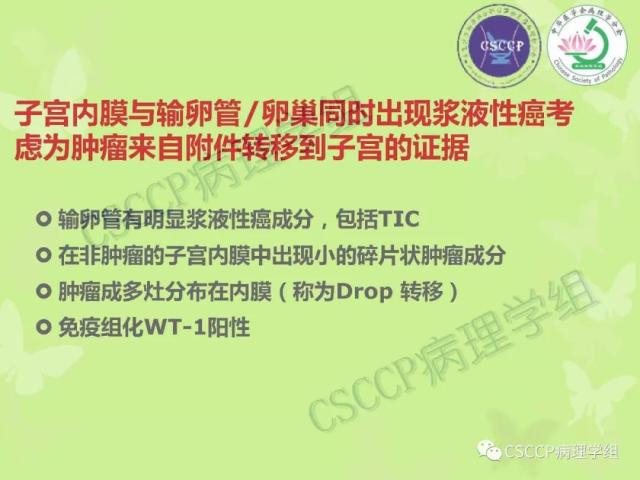 宫颈与子宫病变病理标本取材