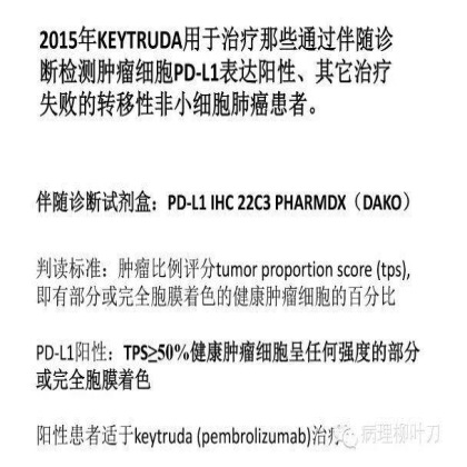 肿瘤精确医疗与分子病理检测
