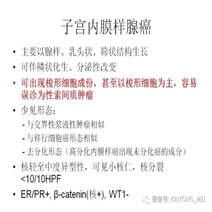 卵巢癌的病理诊断新进展（二）