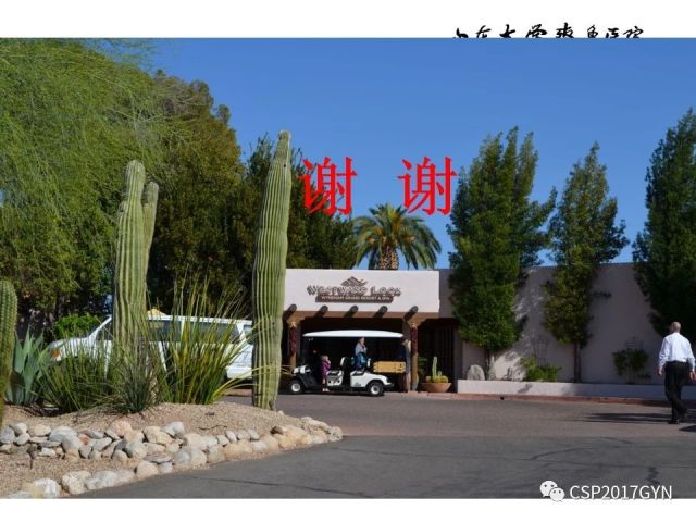 中华病理学会基层培训遵义站讲座（四）——宫颈腺癌的诊断及新分型