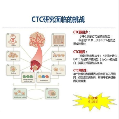 第13届中国肺癌高峰论坛