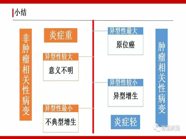 泌尿课程/非浸润性尿路上皮病变诊断的一些困惑