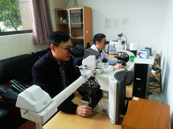 《膀胱病理学》主译专家访谈:浙江大学附属第一医院滕晓东教授 《膀胱病理学》主译专家访谈:浙江大学附属第一医院滕晓东教授