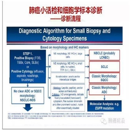 肺癌新分期和分类--临床和研究启示