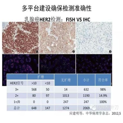 肿瘤精确医疗与分子病理检测