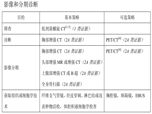 肺癌影像学、分期、病理和分子分型