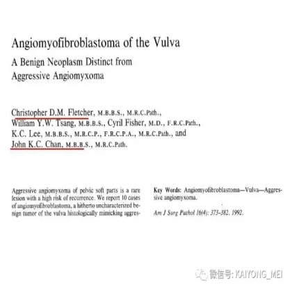 女性生殖道软组织肿瘤病理诊断及进展（二）