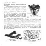 默认相册