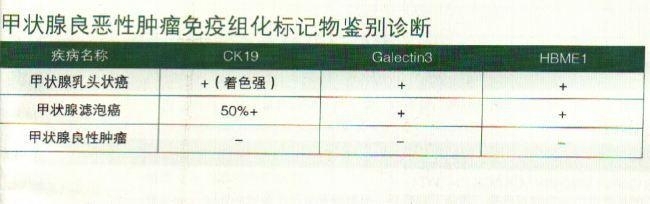 甲状腺良恶性肿瘤免疫组化标记物鉴别诊断