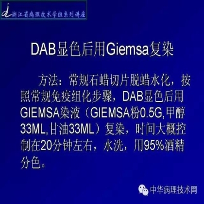 黑色素免疫组化的处理